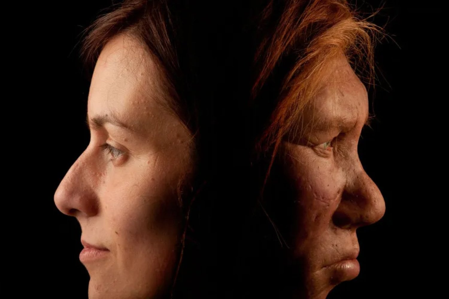 España ya no es solo escenario. Un estudio ubica por primera vez el lugar donde neandertales y humanos modernos pudieron cruzarse