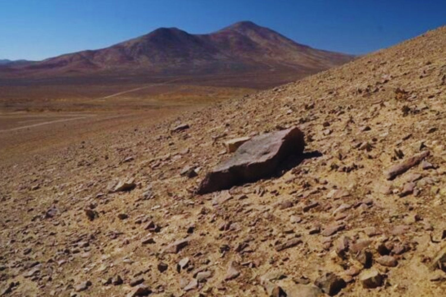 Durante 19.000 años nadie lo vio bajo el desierto más seco del mundo. El hallazgo que acaba de cambiar lo que sabemos sobre la vida