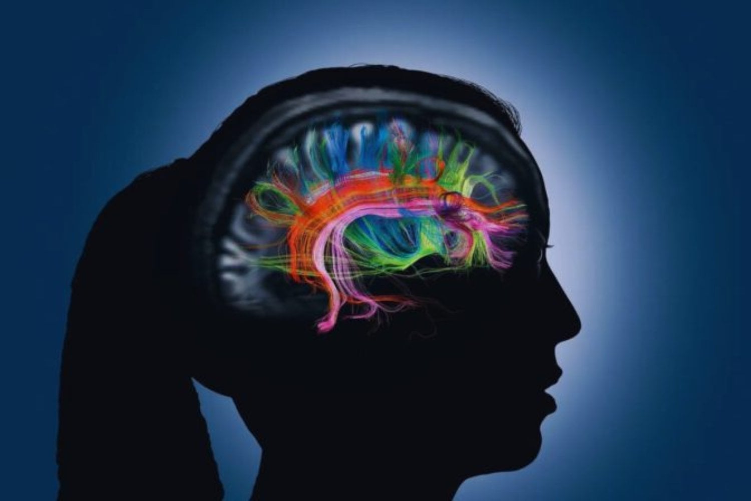 La ciencia replicó un cerebro humano con inteligencia artificial y lo que descubrió sobre el miedo no encaja con décadas de estudios