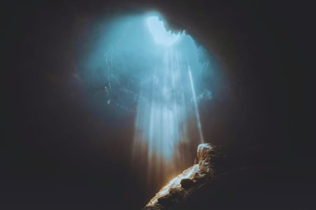 Llevaban medio siglo buscando algo así y apareció en Cantabria. La avispa de 105 millones de años que por fin dejó de ser invisible