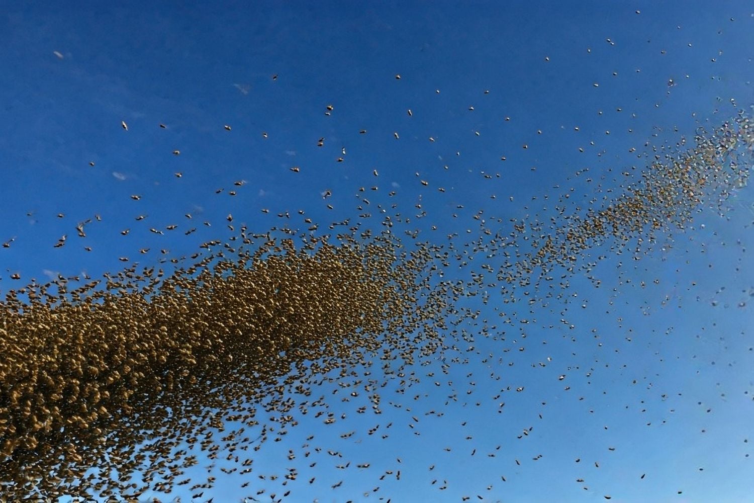 Diseño Sin Título (12)