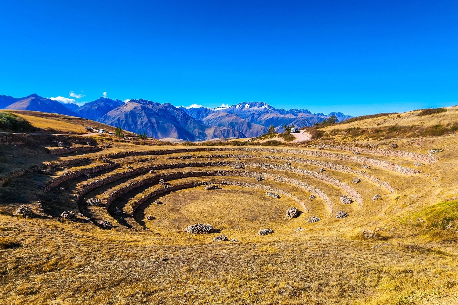 Diseño Sin Título (14)