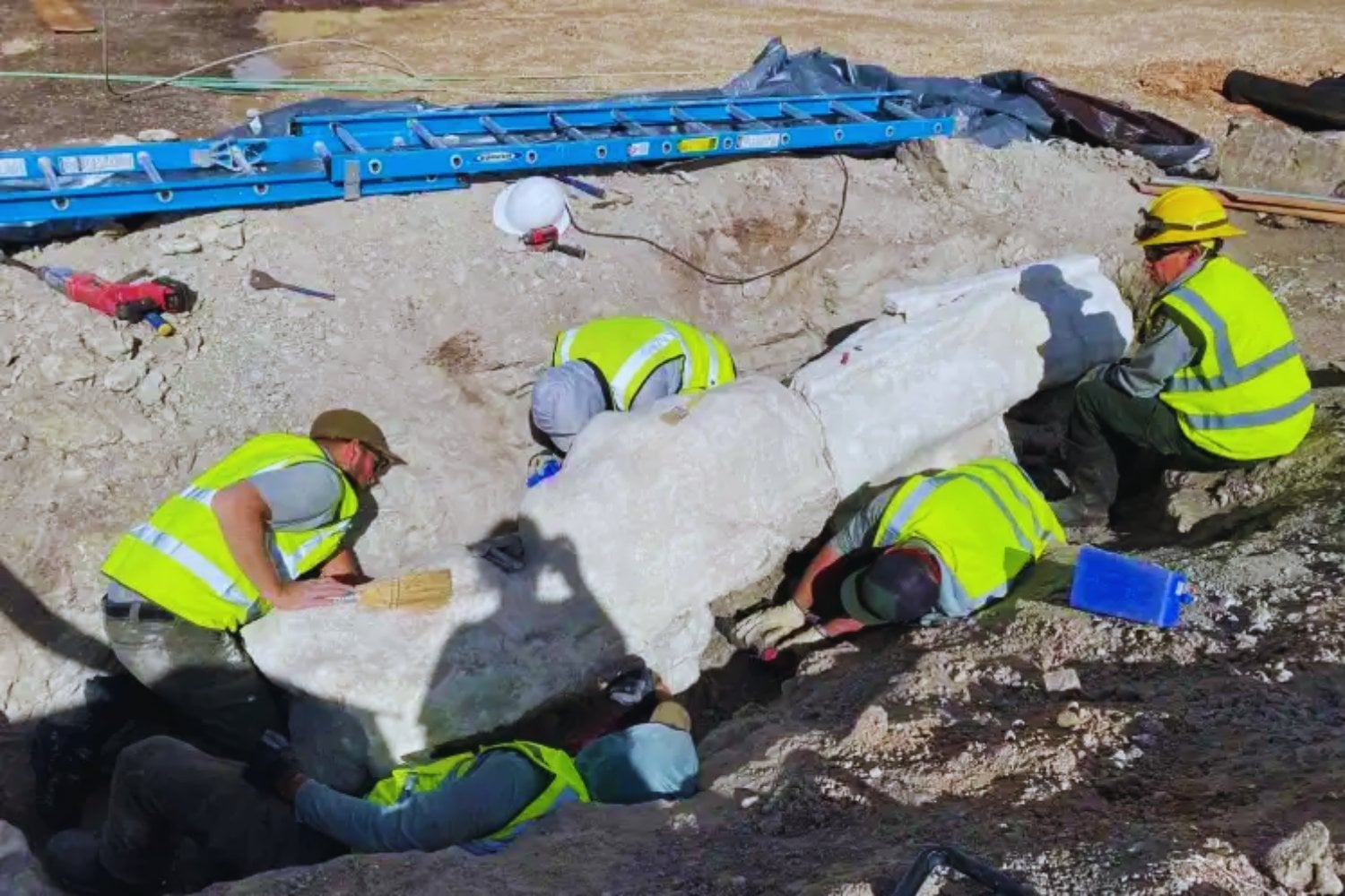 Cien años después, el suelo volvió a hablar. Un enorme Diplodocus apareció bajo un aparcamiento en uno de los yacimientos más famosos de Estados Unidos