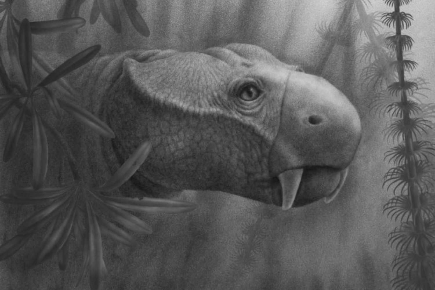 Antes de la paleontología moderna, alguien ya había visto a ese animal. La pintura rupestre que podría adelantar miles de años nuestro “descubrimiento” de una especie extinta