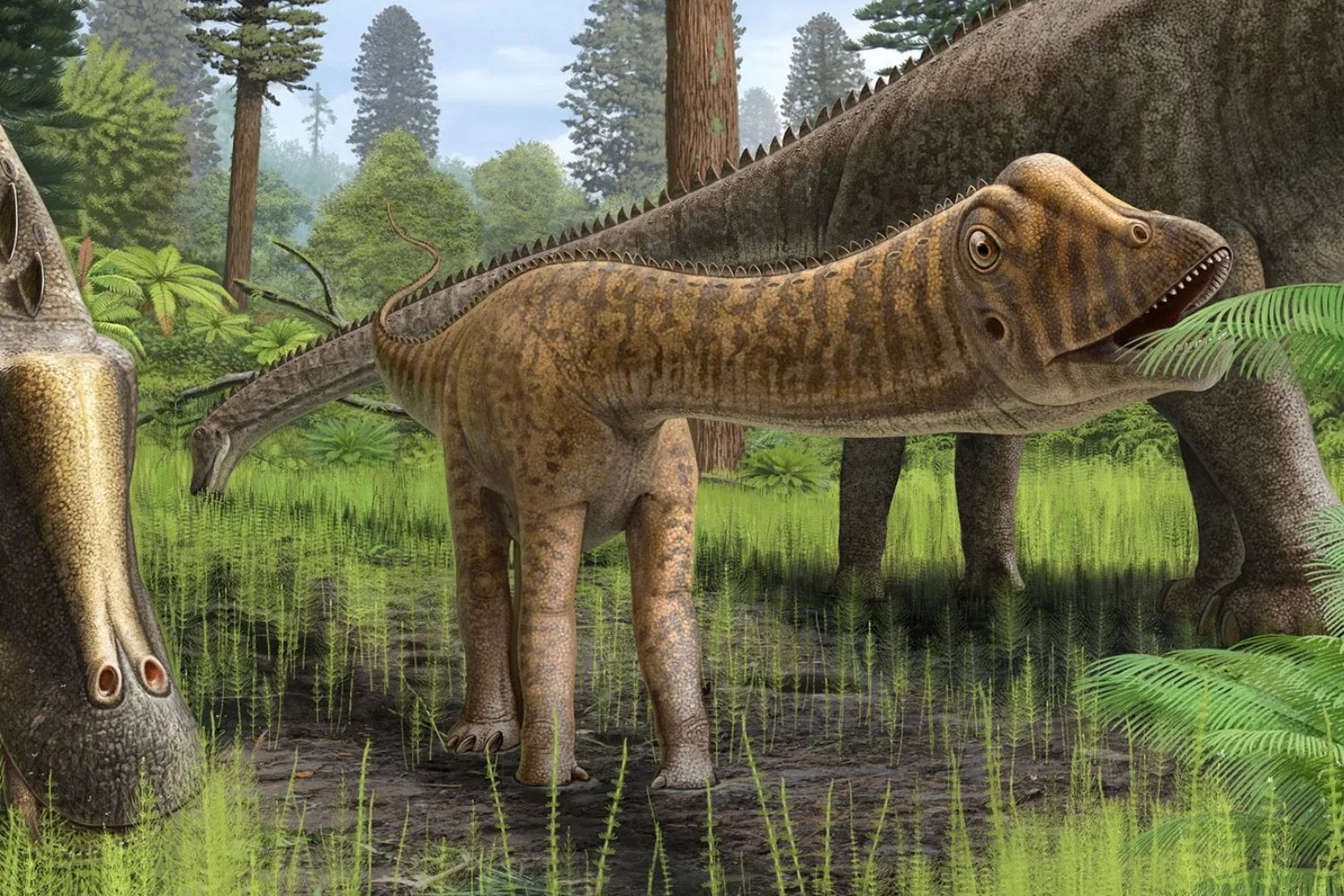 Cien años después, el suelo volvió a hablar. Un enorme Diplodocus apareció bajo un aparcamiento en uno de los yacimientos más famosos de Estados Unidos