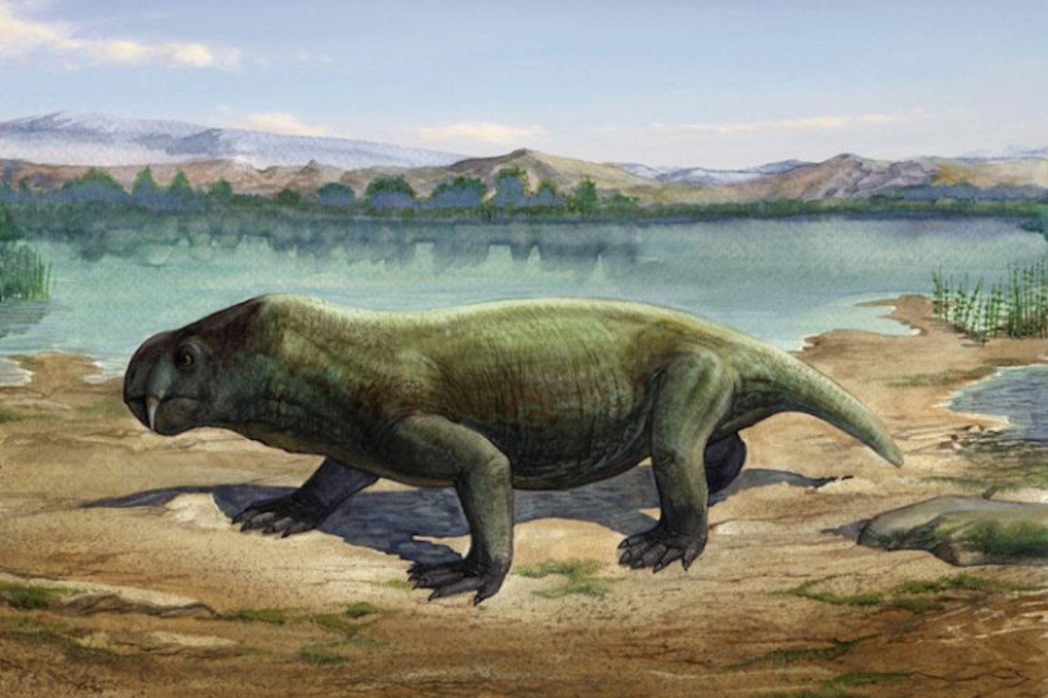 Antes de la paleontología moderna, alguien ya había visto a ese animal. La pintura rupestre que podría adelantar miles de años nuestro “descubrimiento” de una especie extinta