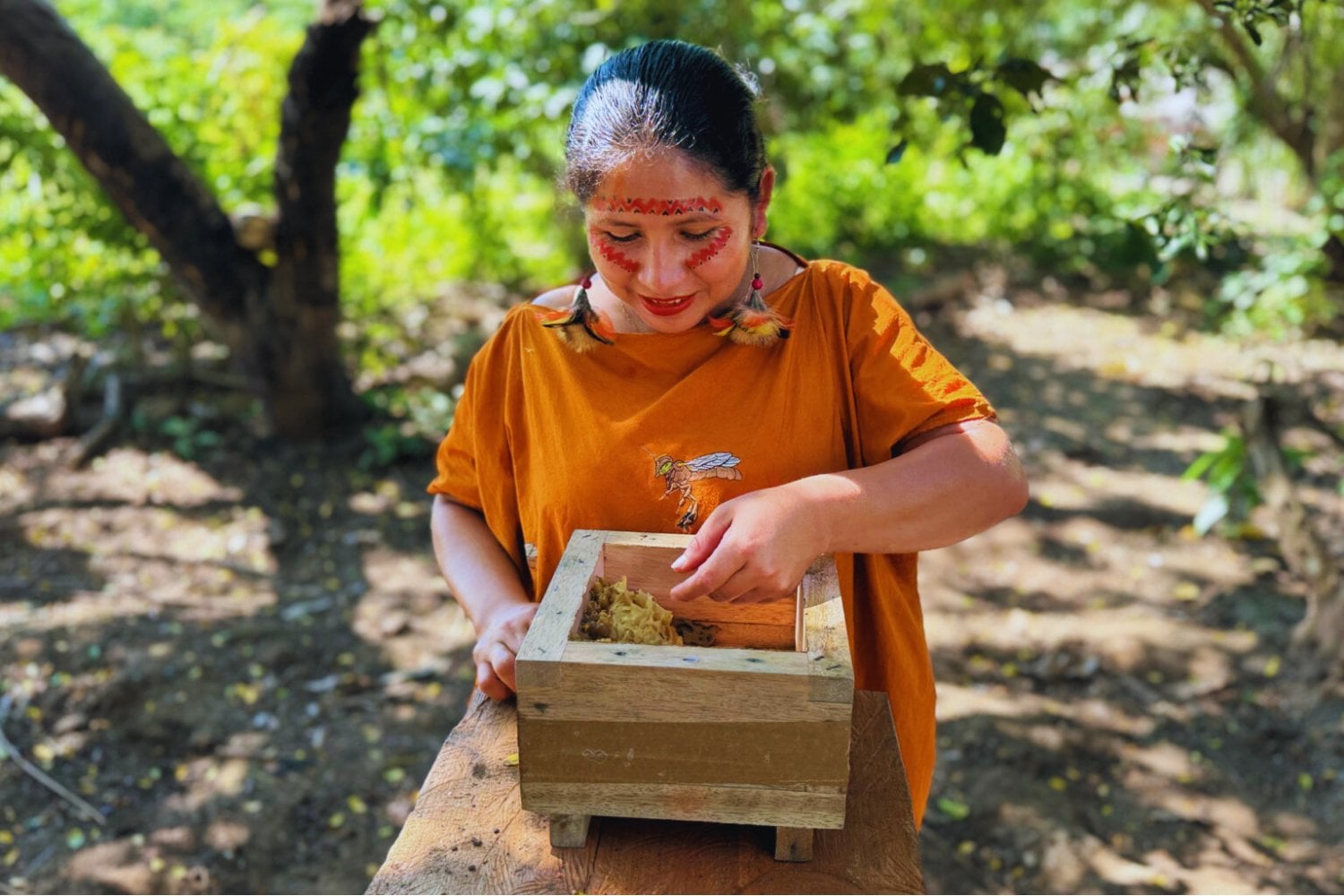 Las abejas sin aguijón dejan de ser invisibles para la ley. Por primera vez, un país reconoce derechos legales a insectos clave para la Amazonía