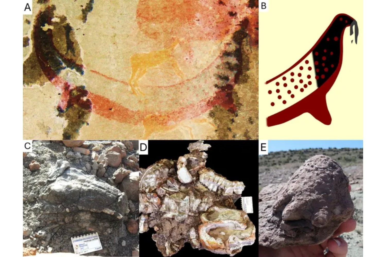 Antes de la paleontología moderna, alguien ya había visto a ese animal. La pintura rupestre que podría adelantar miles de años nuestro “descubrimiento” de una especie extinta