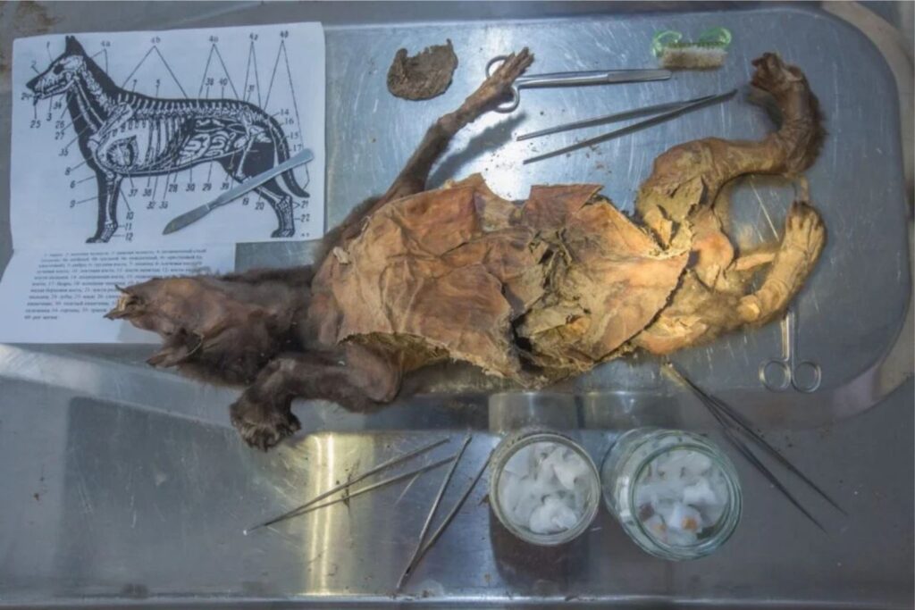 Diseño Sin Título (2)