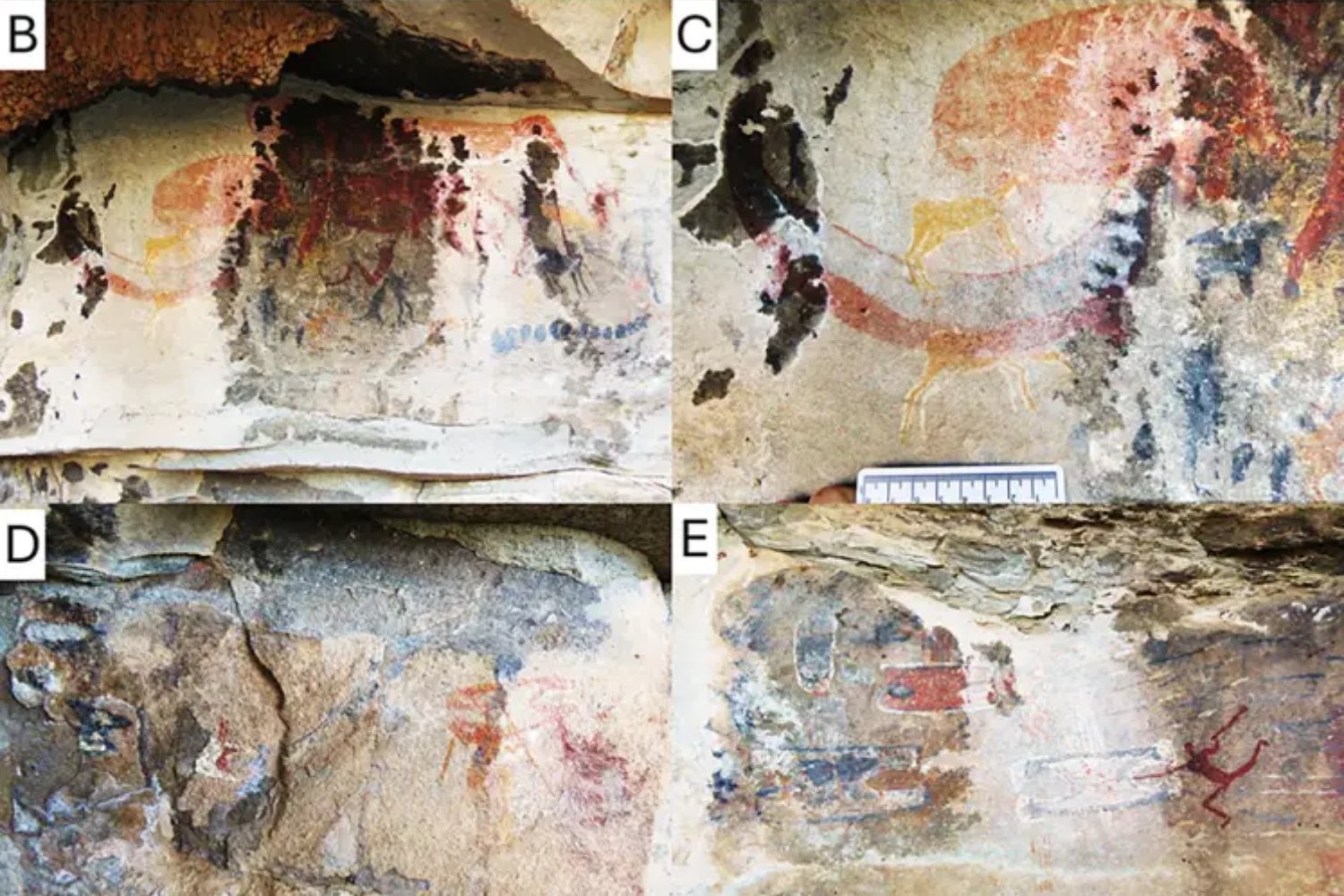 Antes de la paleontología moderna, alguien ya había visto a ese animal. La pintura rupestre que podría adelantar miles de años nuestro “descubrimiento” de una especie extinta