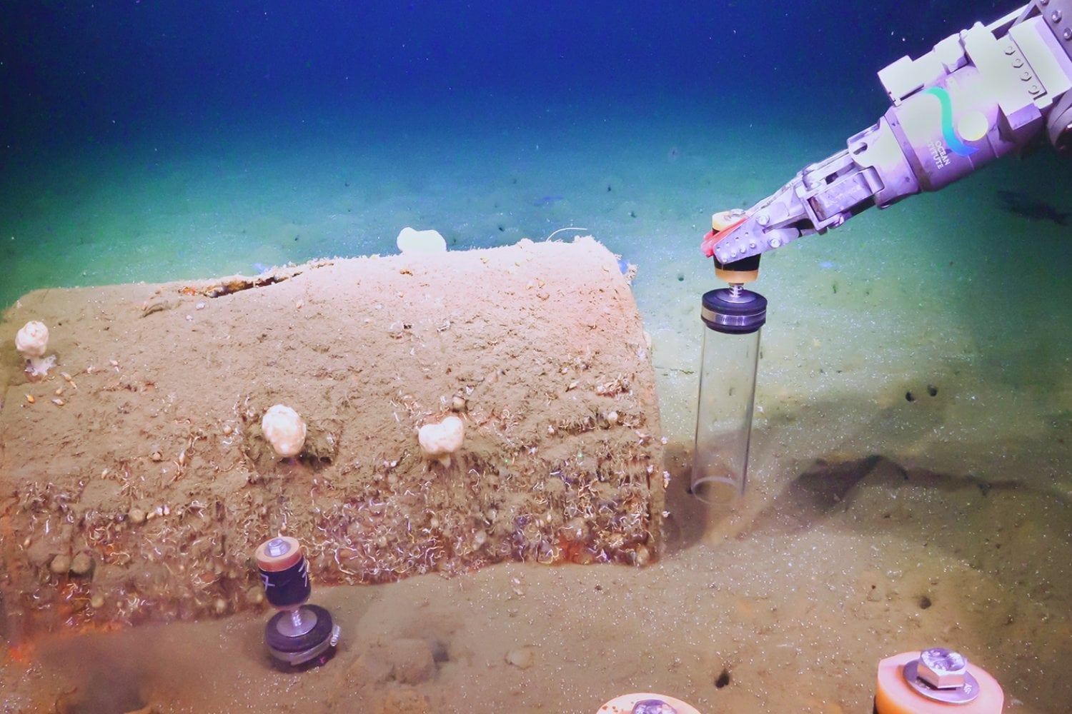 Durante décadas Estados Unidos usó el océano como vertedero. Hoy los científicos bajan al fondo marino y empiezan a descubrir qué quedó dentro de esos barriles