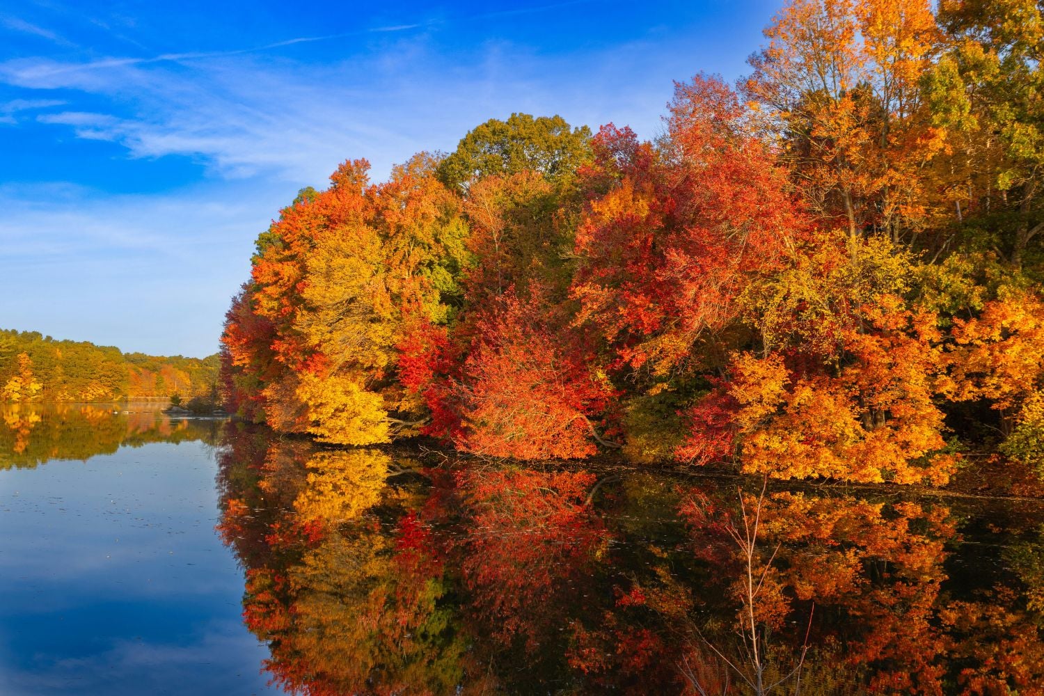 Diseño Sin Título 2026 01 22t132306.035