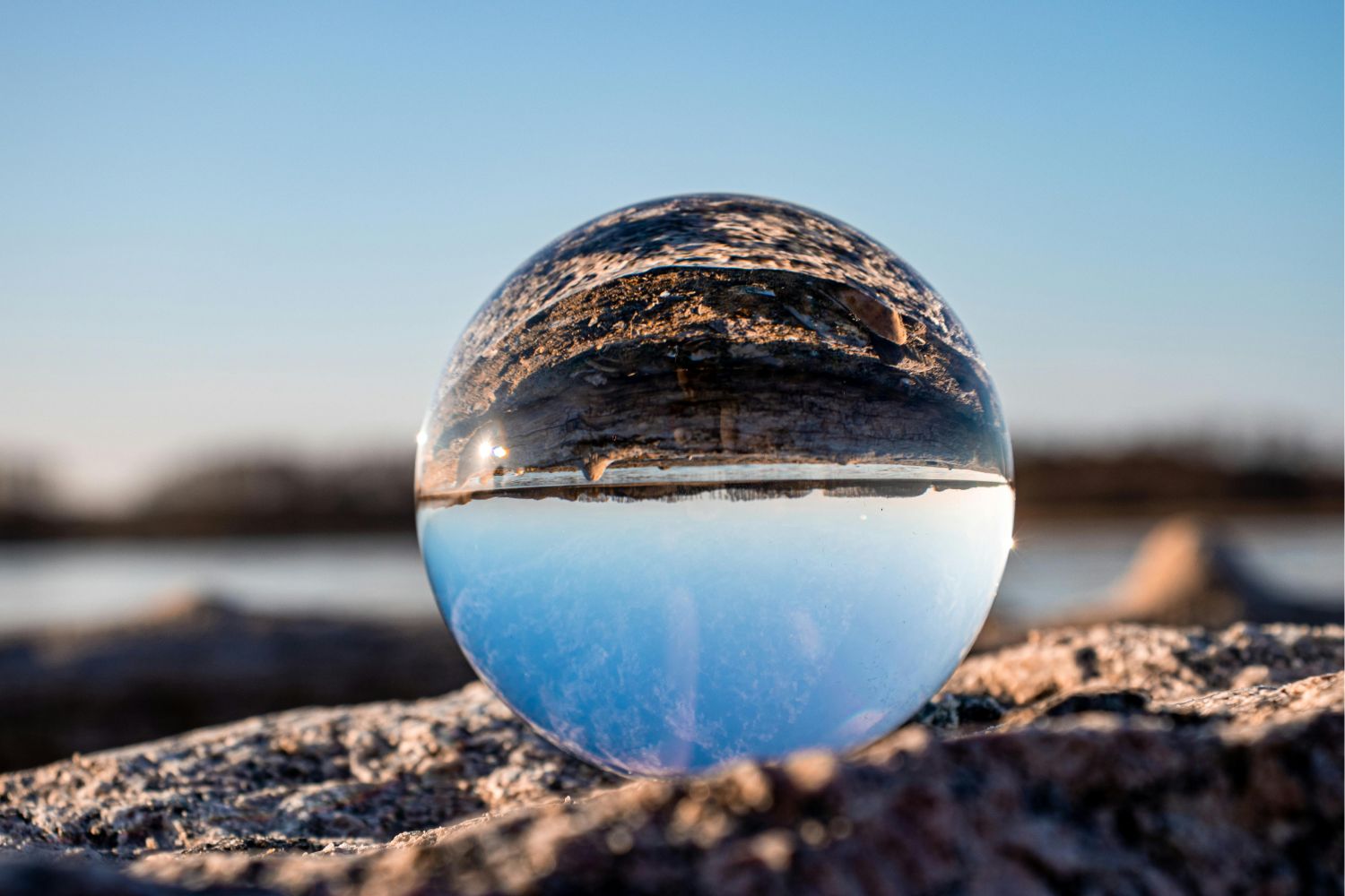 Diseño Sin Título 2026 01 23t105733.191