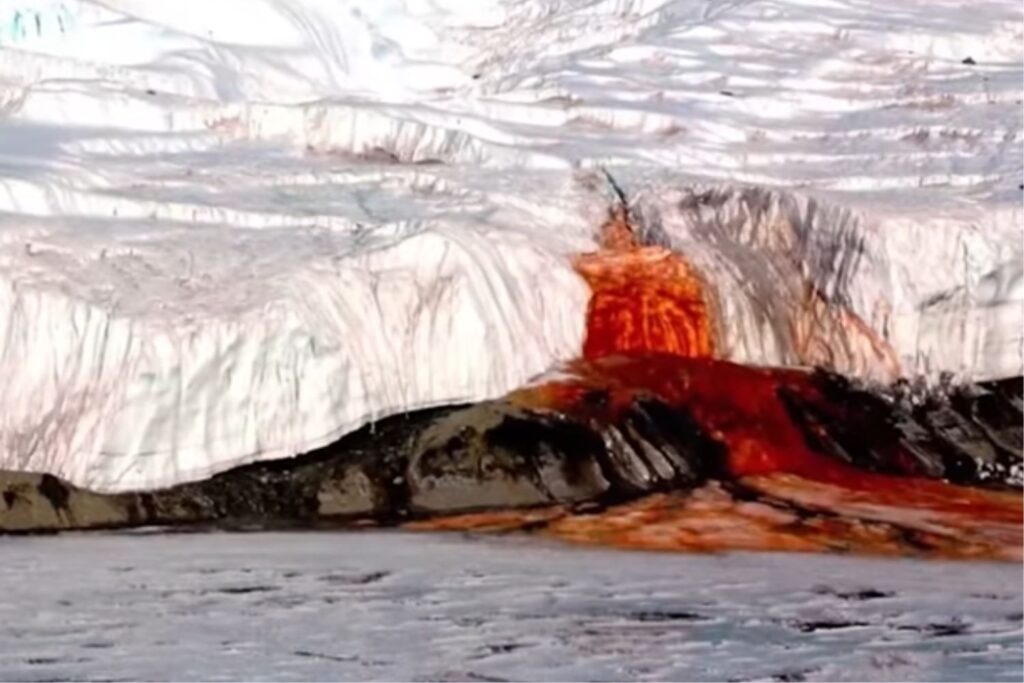 Diseño Sin Título 2026 01 23t210427.683