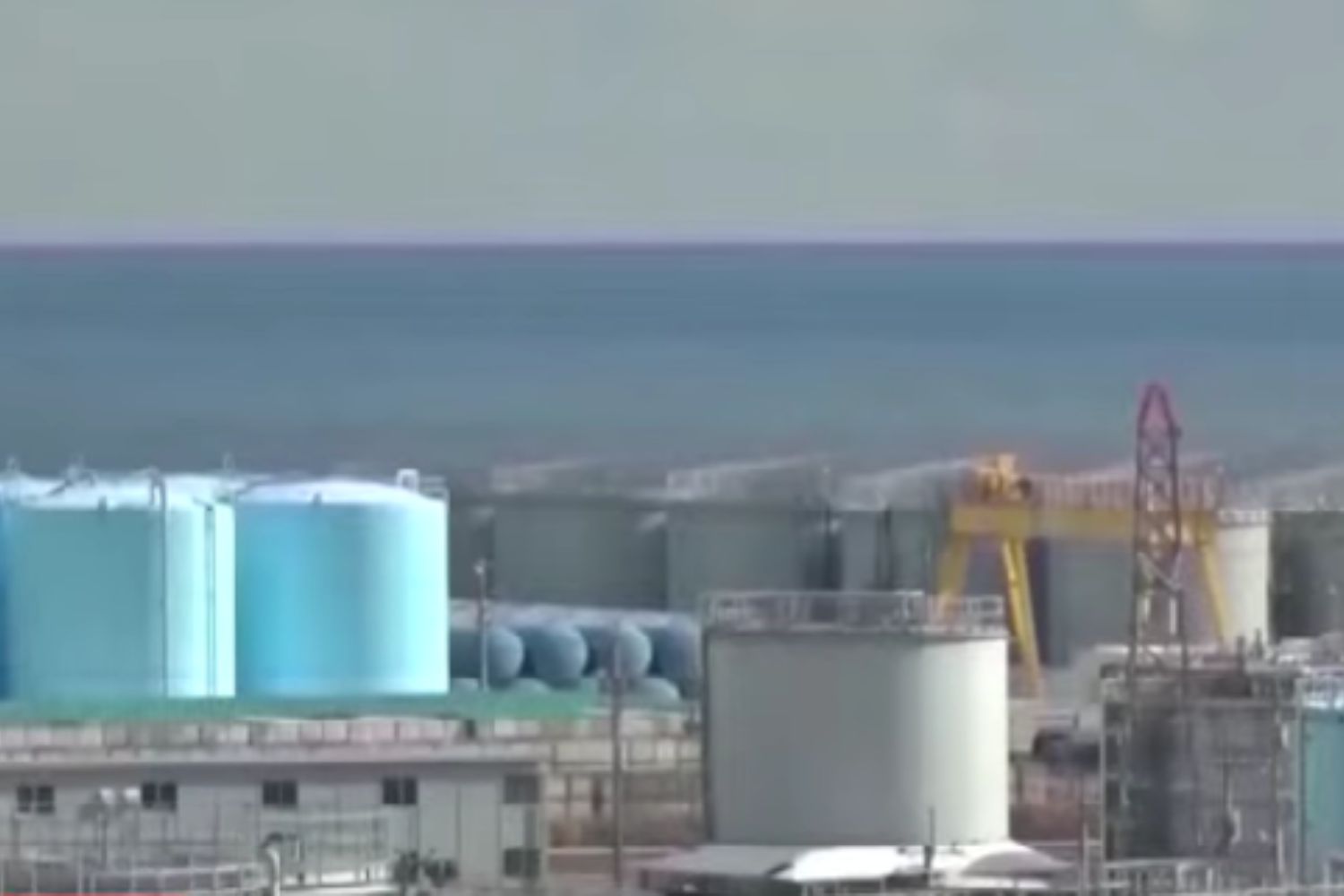 Diseño Sin Título 2026 01 23t214625.416