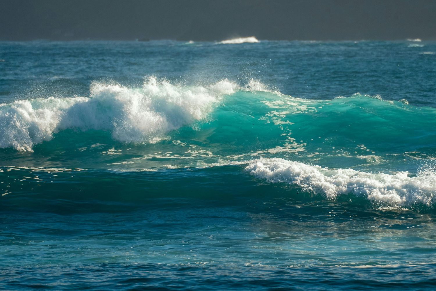 Diseño Sin Título 2026 01 23t221848.649