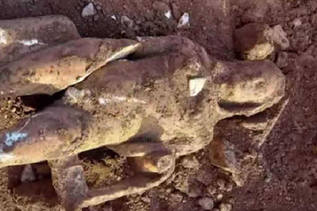 Diseño Sin Título 2026 01 27t120006.208