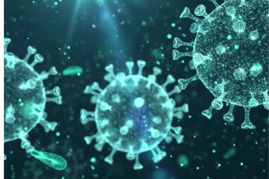 Diseño Sin Título 2026 01 28t004203.718