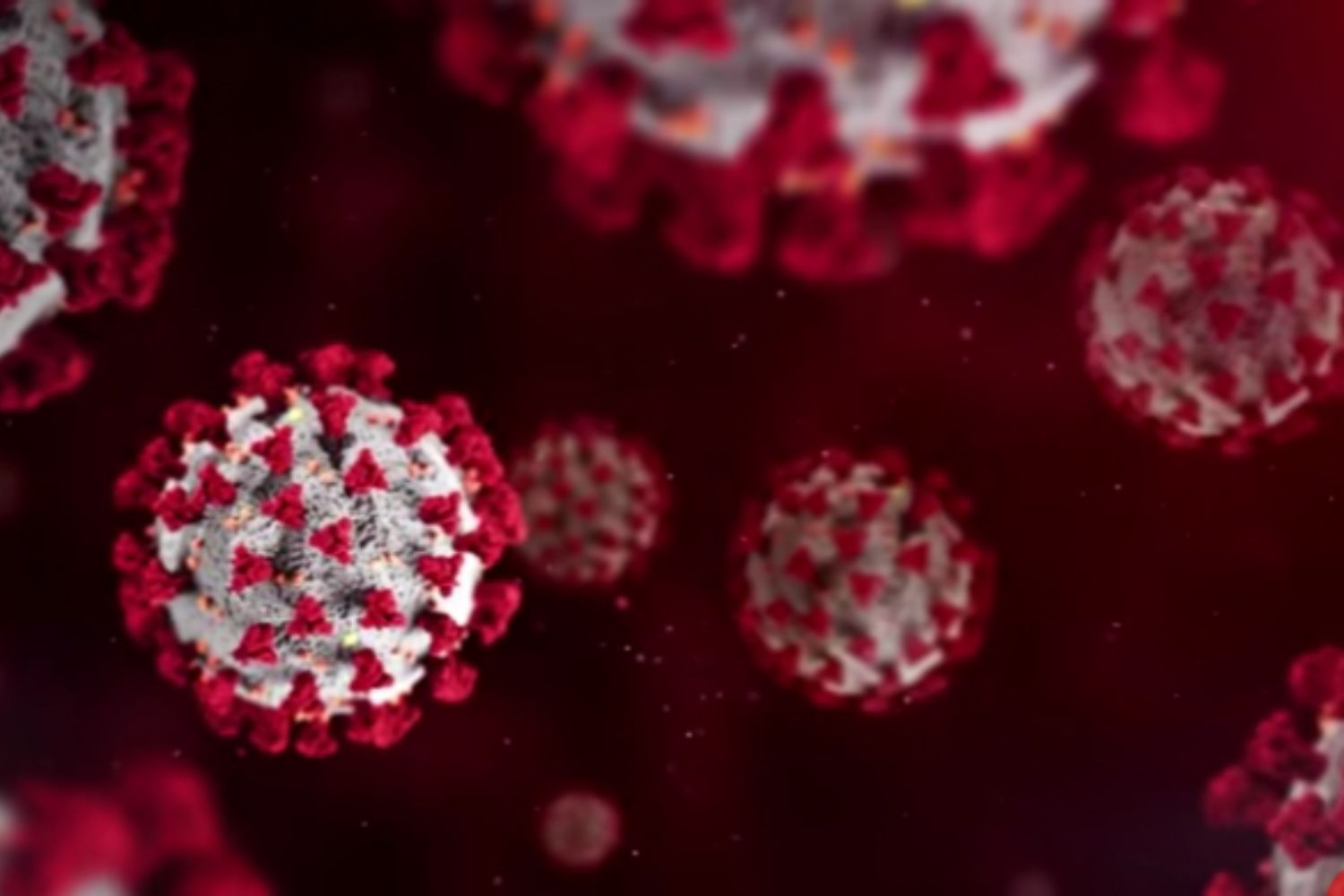 Diseño Sin Título 2026 01 28t004240.594