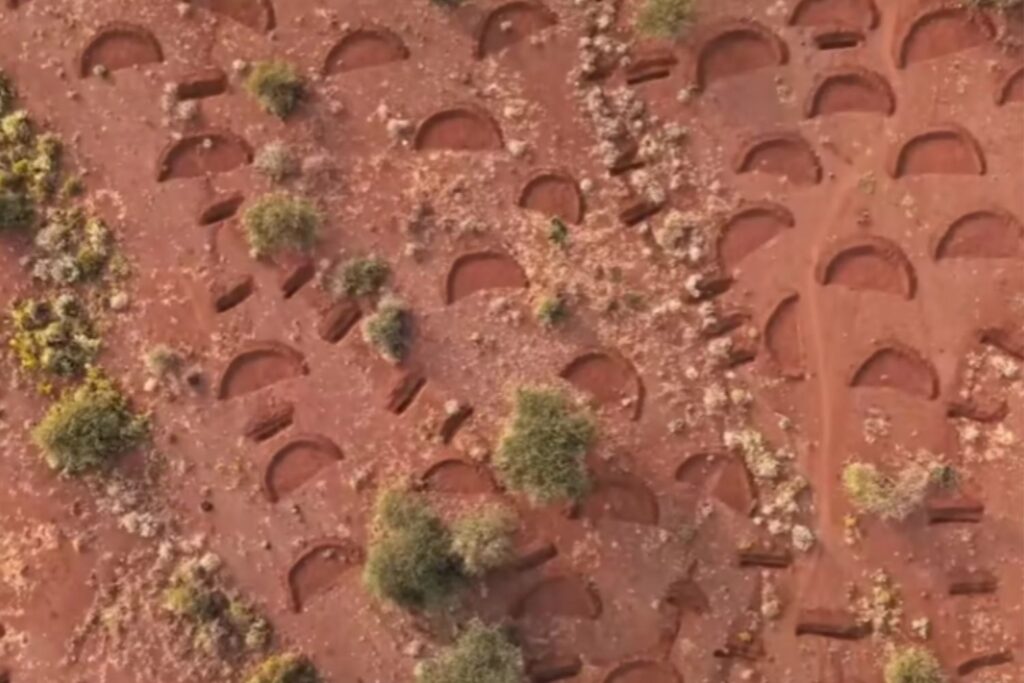 Diseño Sin Título 2026 01 28t021603.323