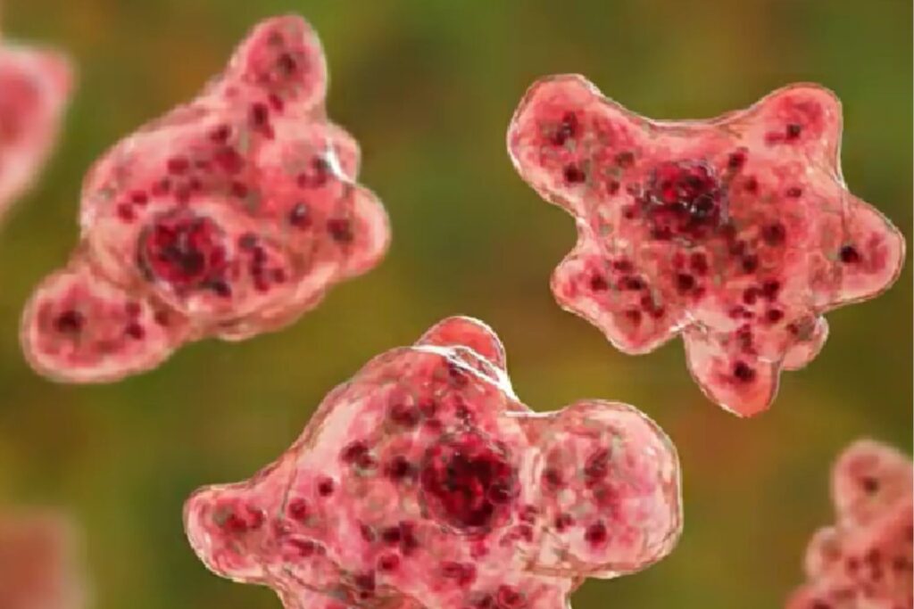 Diseño Sin Título 2026 01 28t023203.732