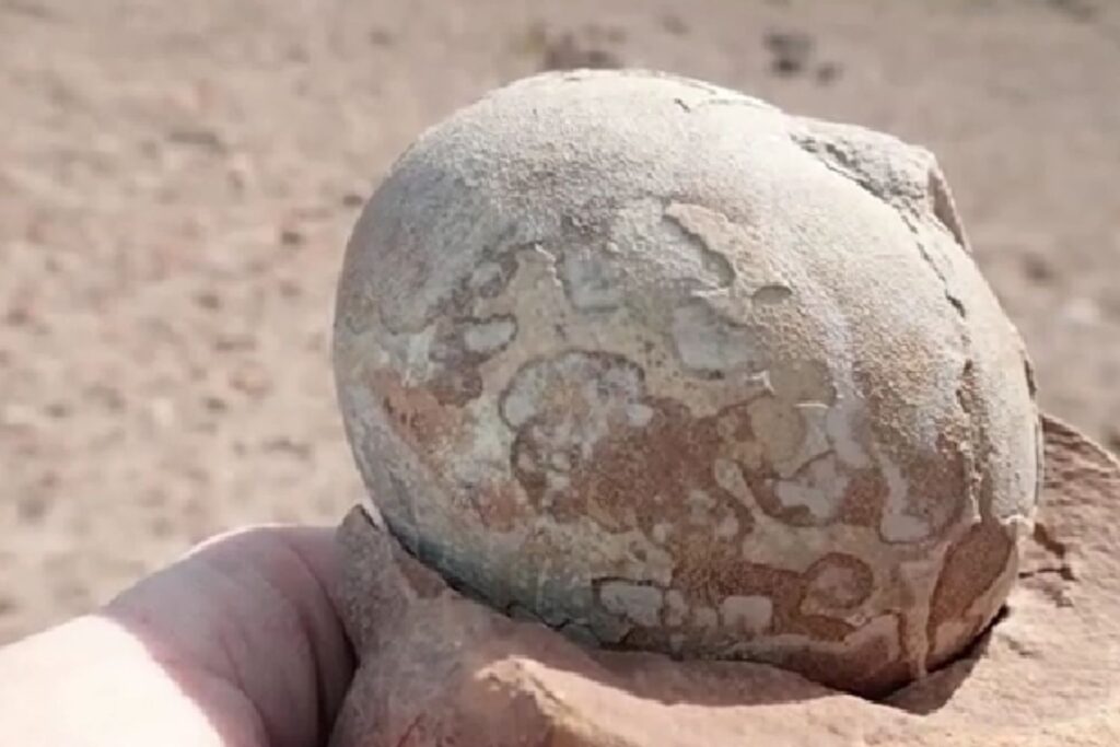 Diseño Sin Título 2026 01 28t111029.940