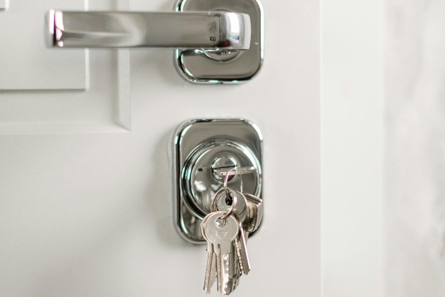 Diseño Sin Título 2026 01 30t160627.580