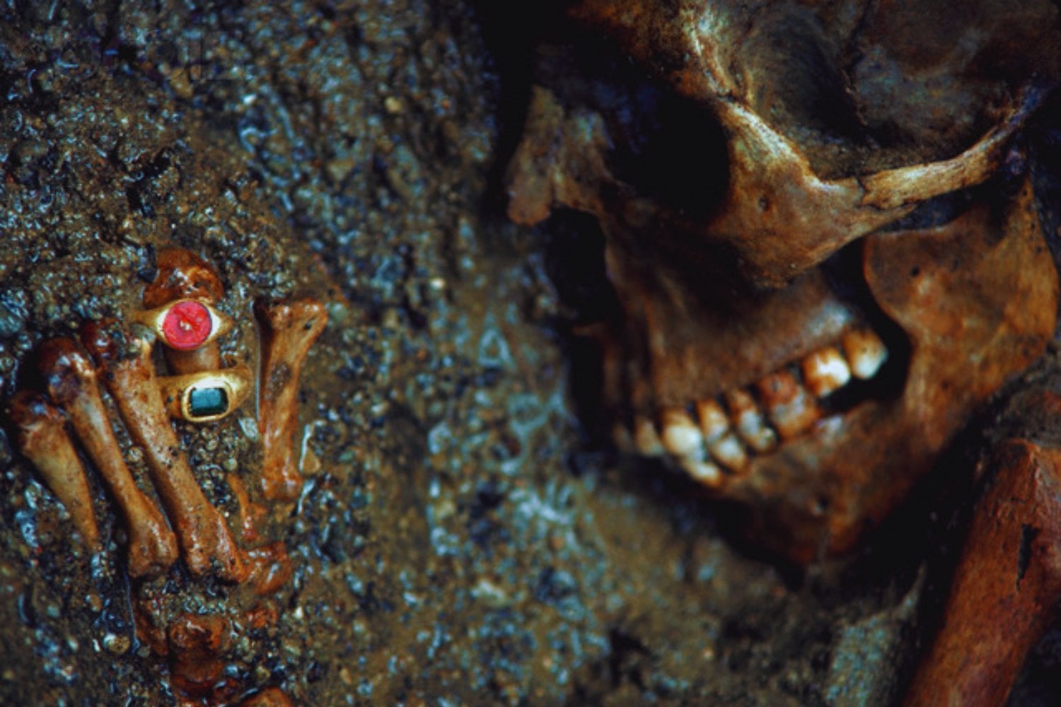 La erupción del Vesubio detuvo el tiempo en Herculano. Pero los parásitos que llevaban los romanos siguieron allí, esperando dos mil años para contarlo
