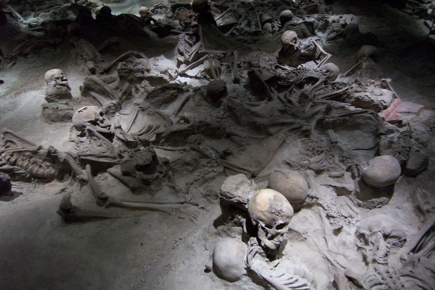 La erupción del Vesubio detuvo el tiempo en Herculano. Pero los parásitos que llevaban los romanos siguieron allí, esperando dos mil años para contarlo