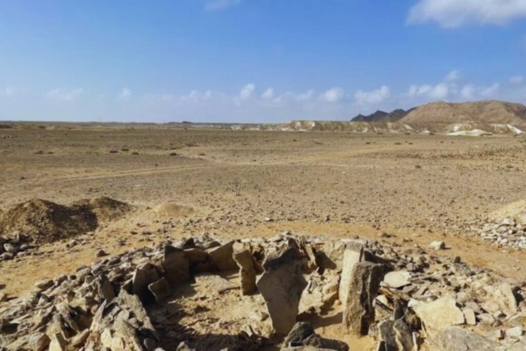 Hace 7.000 años, los neolíticos de Arabia no solo sobrevivían al desierto. También cazaban tiburones como parte esencial de su dieta