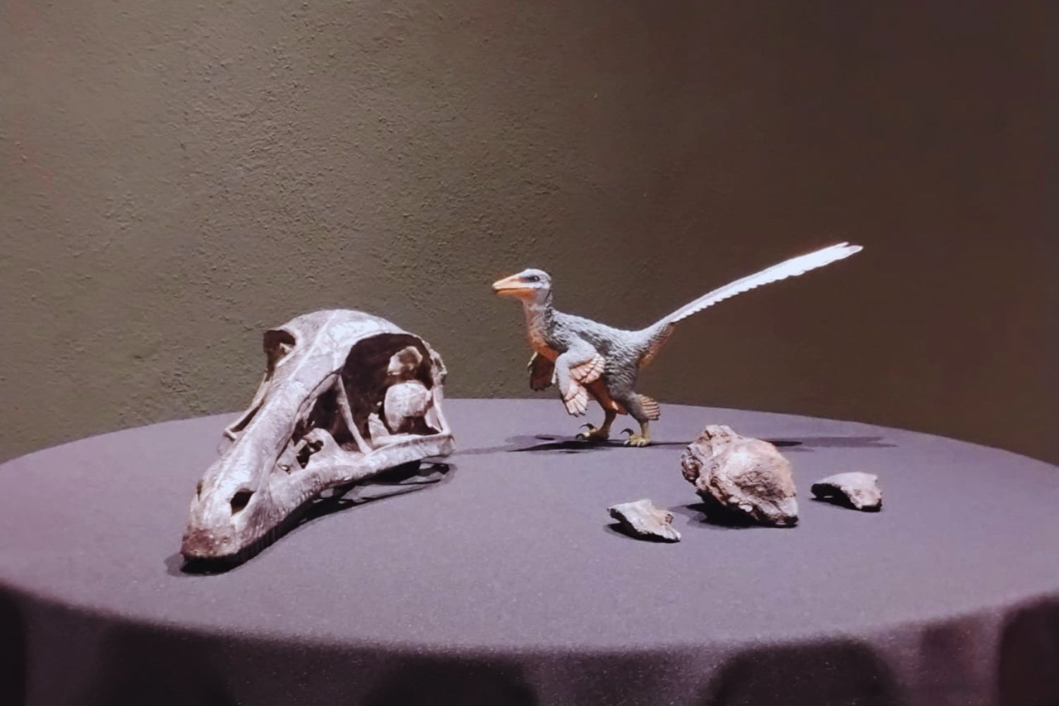 Un depredador “extraño” emerge del pasado. Así es Xenovenator espinosai, el dinosaurio mexicano de 74 millones de años que reescribe la historia de los troodóntidos