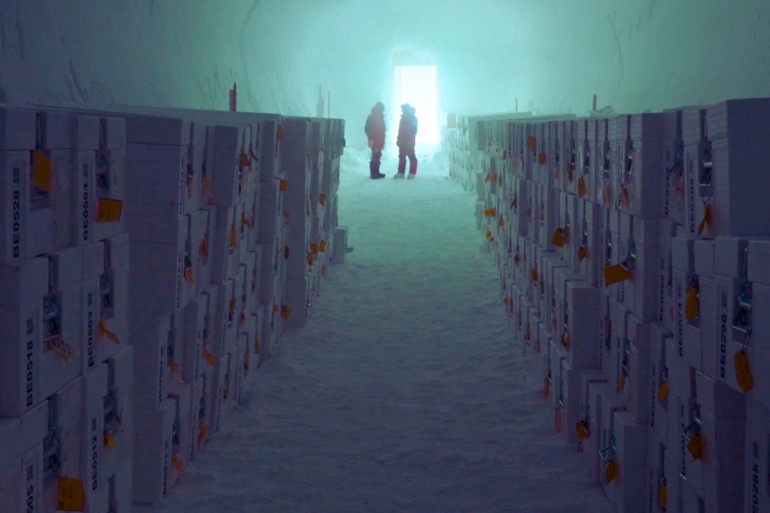 La Antártida acaba de inaugurar su propia “bóveda del fin del mundo”. Un archivo a −50 °C para salvar la memoria de los glaciares antes de que desaparezcan