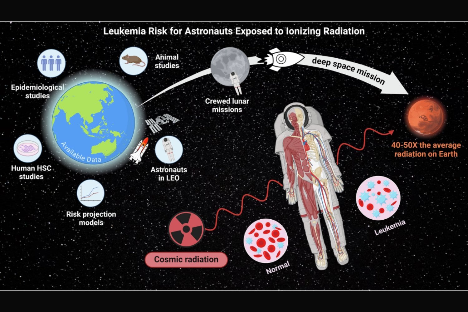 Viajar al espacio no solo cambia el cuerpo, también cambia las células. Un estudio revela alteraciones moleculares ligadas al desarrollo de enfermedades