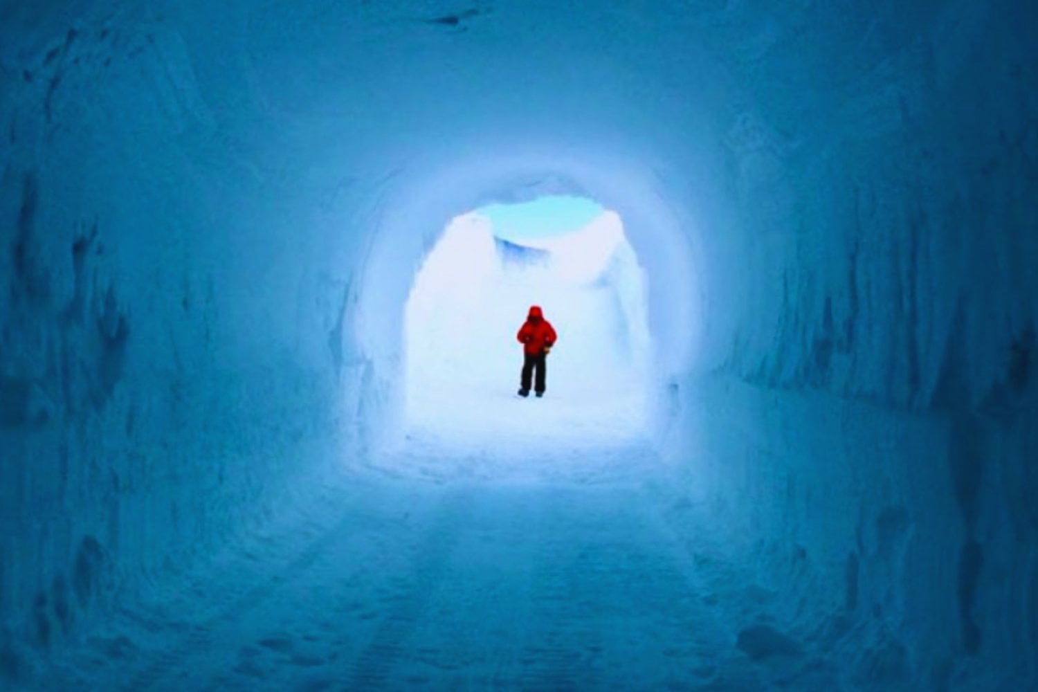 La Antártida acaba de inaugurar su propia “bóveda del fin del mundo”. Un archivo a −50 °C para salvar la memoria de los glaciares antes de que desaparezcan