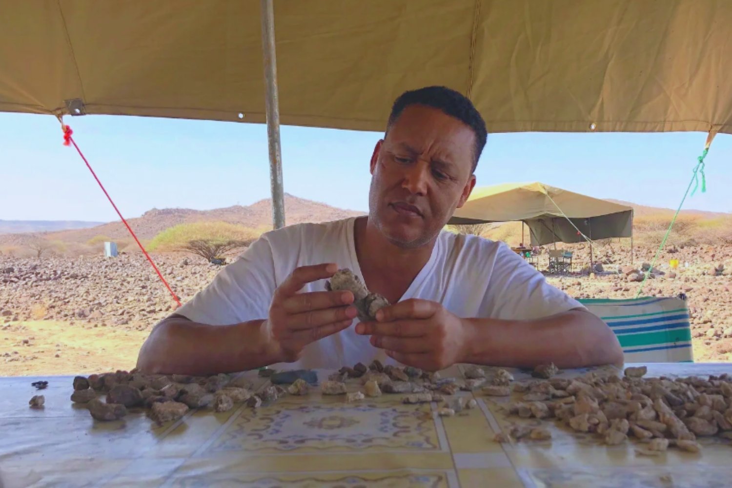 Un nuevo fósil de 2,6 millones de años amplía el mapa de los primeros homínidos. El Paranthropus era mucho más adaptable de lo pensado