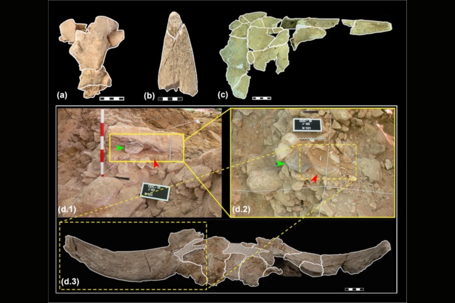 Los neandertales no dejaron cráneos por casualidad en una cueva de Madrid. Volvieron una y otra vez durante siglos para hacer lo mismo