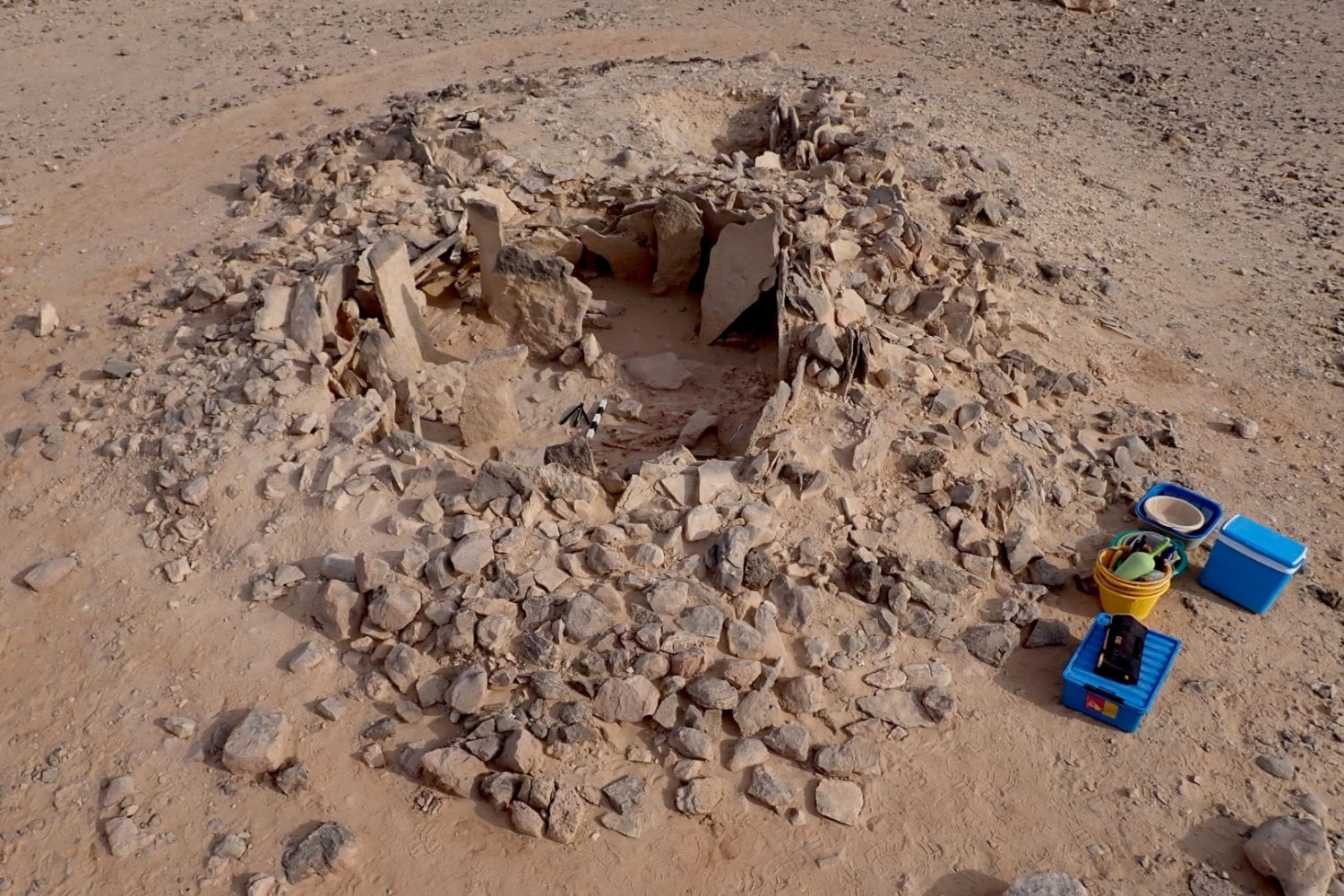 Hace 7.000 años, los neolíticos de Arabia no solo sobrevivían al desierto. También cazaban tiburones como parte esencial de su dieta