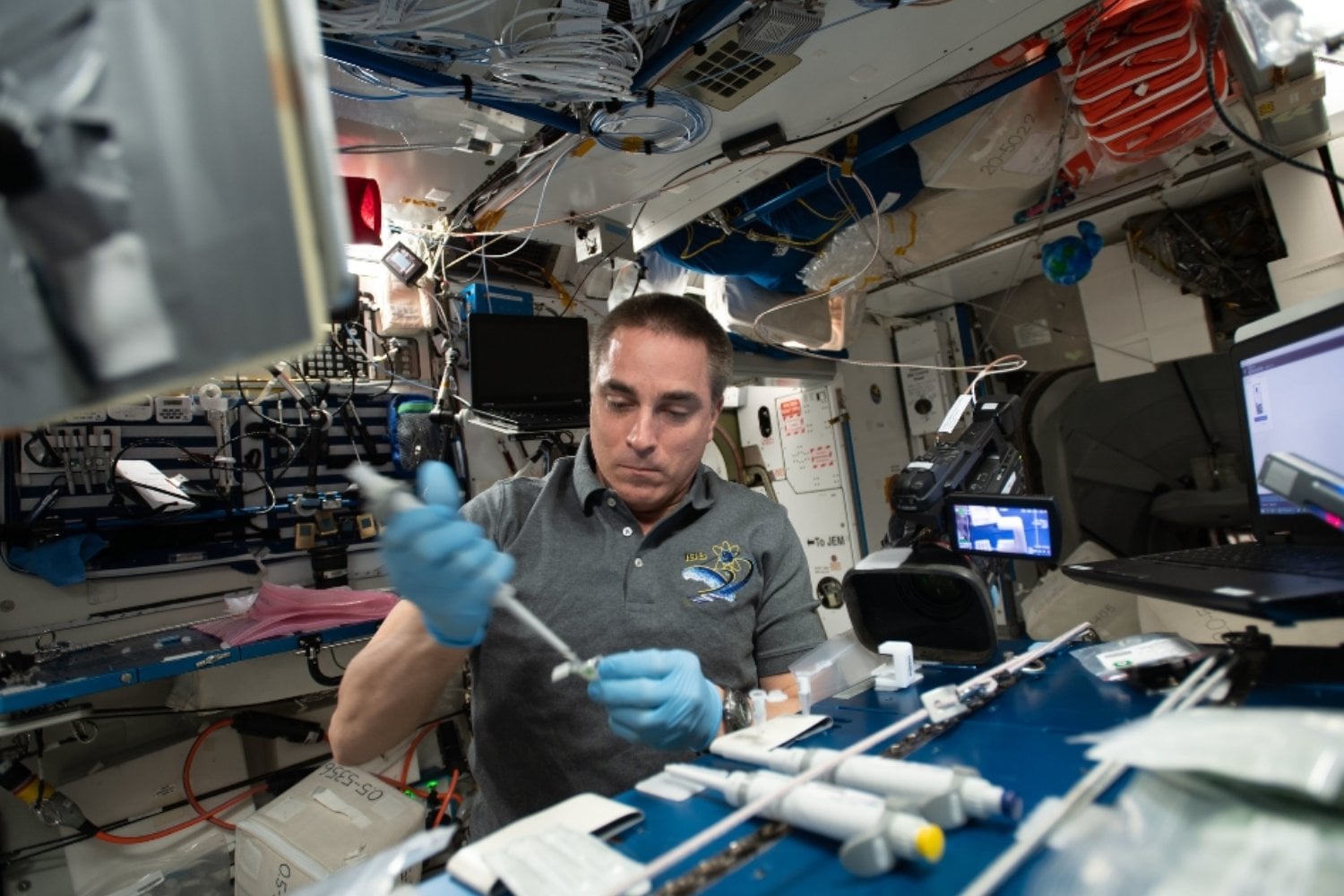 Viajar al espacio no solo cambia el cuerpo, también cambia las células. Un estudio revela alteraciones moleculares ligadas al desarrollo de enfermedades