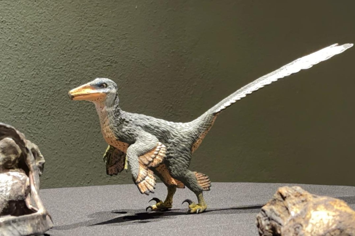 Un depredador “extraño” emerge del pasado. Así es Xenovenator espinosai, el dinosaurio mexicano de 74 millones de años que reescribe la historia de los troodóntidos