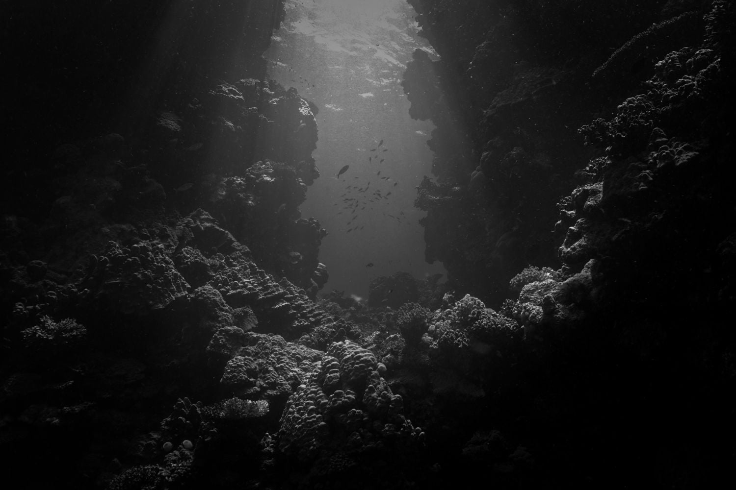 Diseño Sin Título (28)