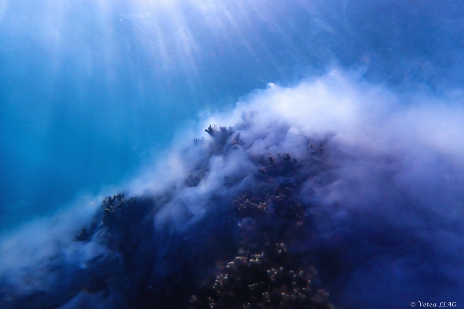 El océano tiene un reloj interno y acaba de quedar en evidencia. Un mismo coral desovó casi al mismo minuto a lo largo de 18.000 kilómetros