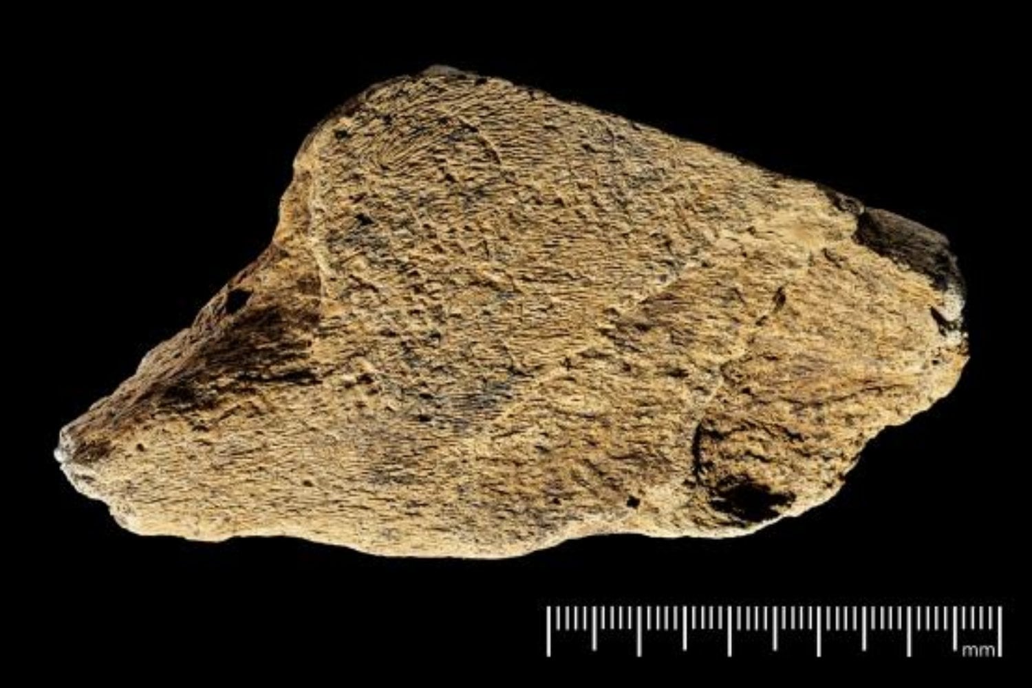 Un martillo fabricado hace 500.000 años en Inglaterra obliga a replantear lo que creíamos saber sobre la inteligencia de los primeros humanos europeos