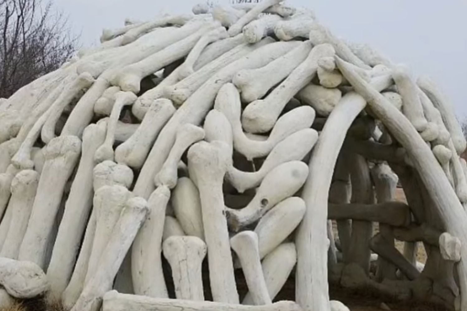 Diseño Sin Título (29)