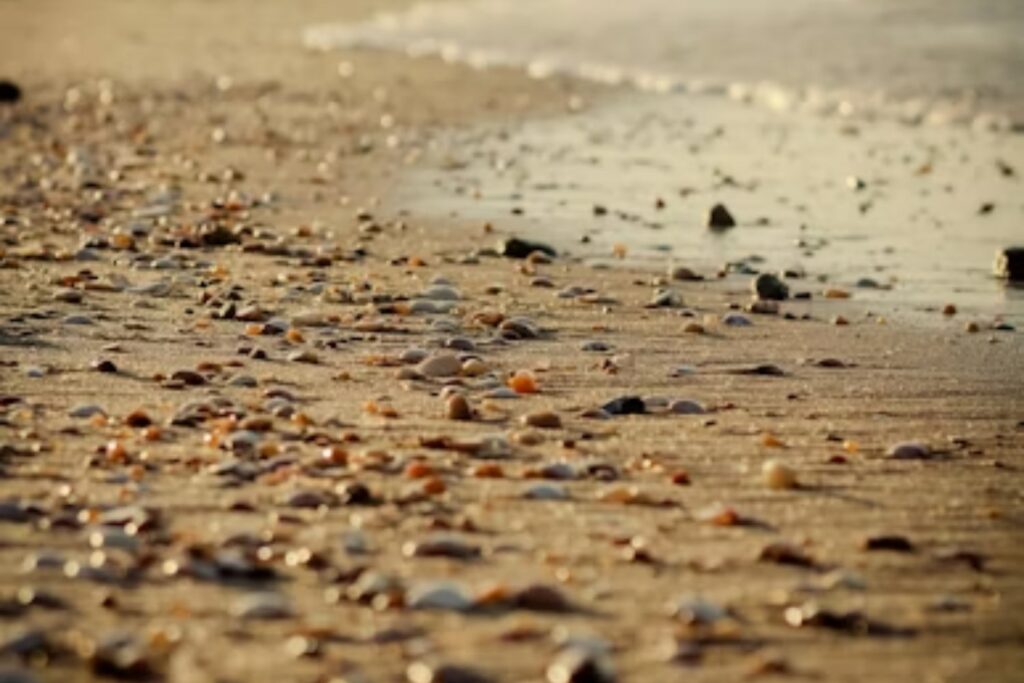 El material que sostiene nuestras ciudades se ha convertido en un problema global. Y la solución acaba de aparecer en el lugar más inesperado: la orilla del mar