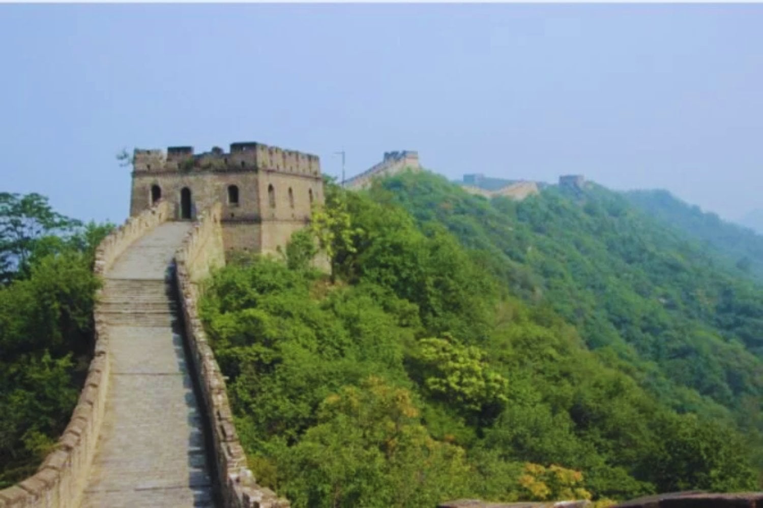 China ganó la batalla contra el desierto con millones de árboles. Pero sin querer ha modificado cómo se mueve el agua en todo el país