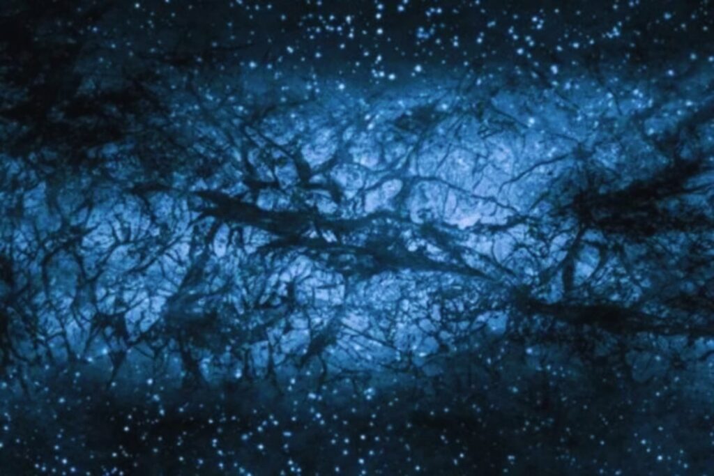 La materia oscura sigue siendo invisible, pero ya no intocable. Investigadores proponen rastrearla con sensores cuánticos distribuidos