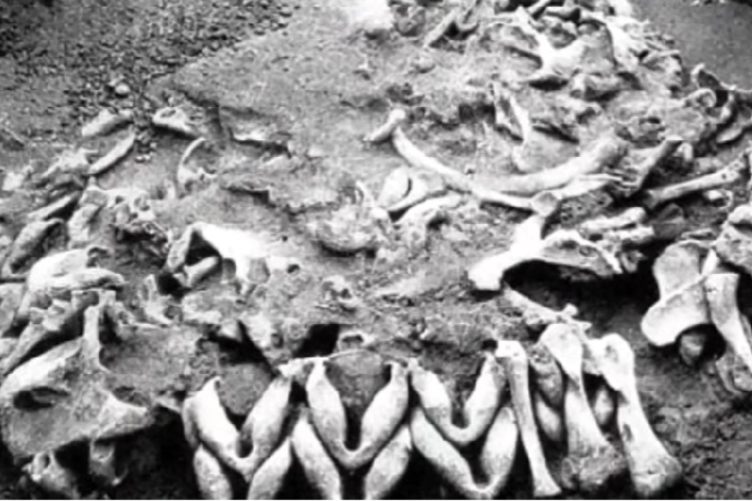 Diseño Sin Título (30)