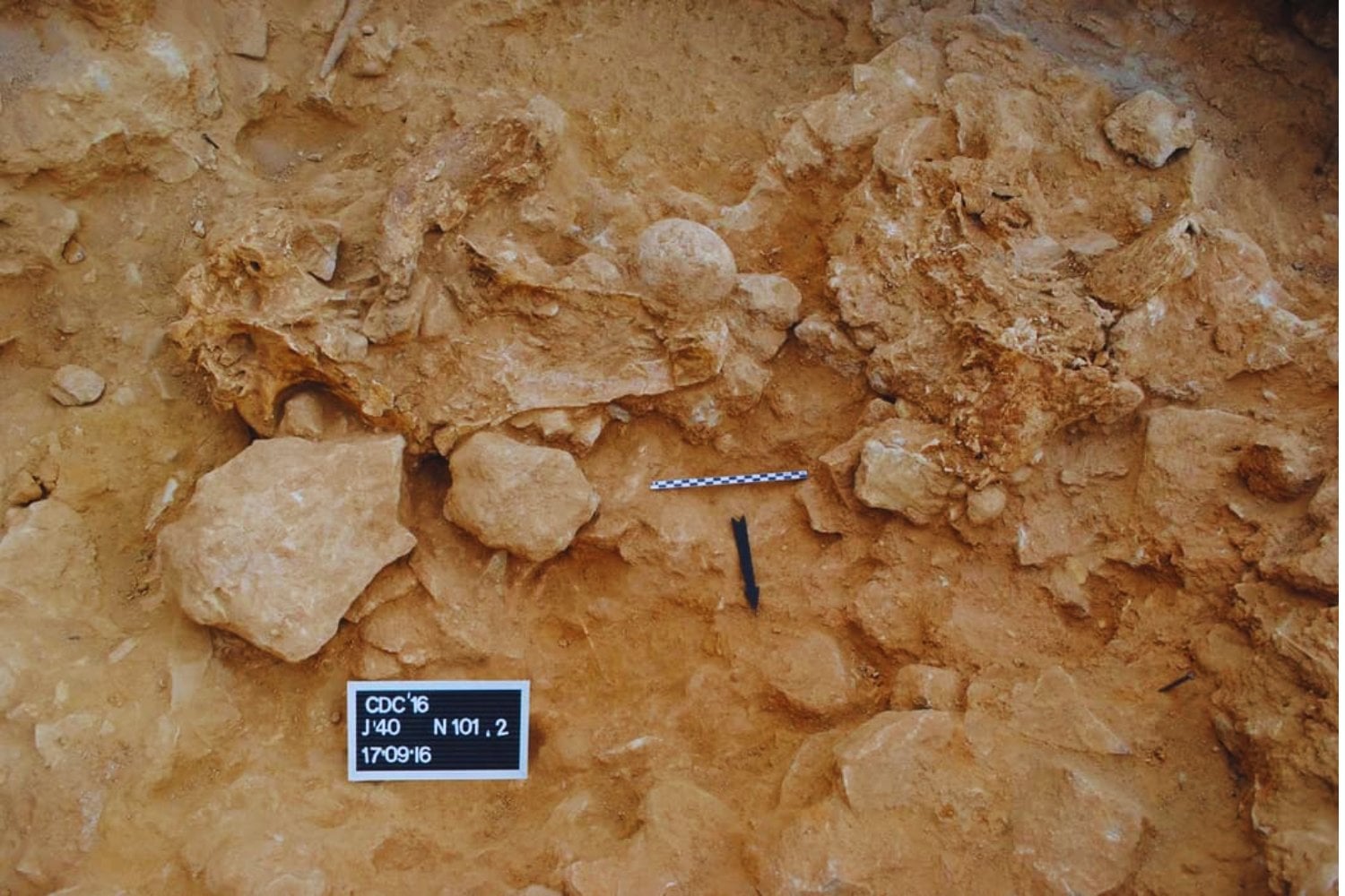 Los neandertales no dejaron cráneos por casualidad en una cueva de Madrid. Volvieron una y otra vez durante siglos para hacer lo mismo