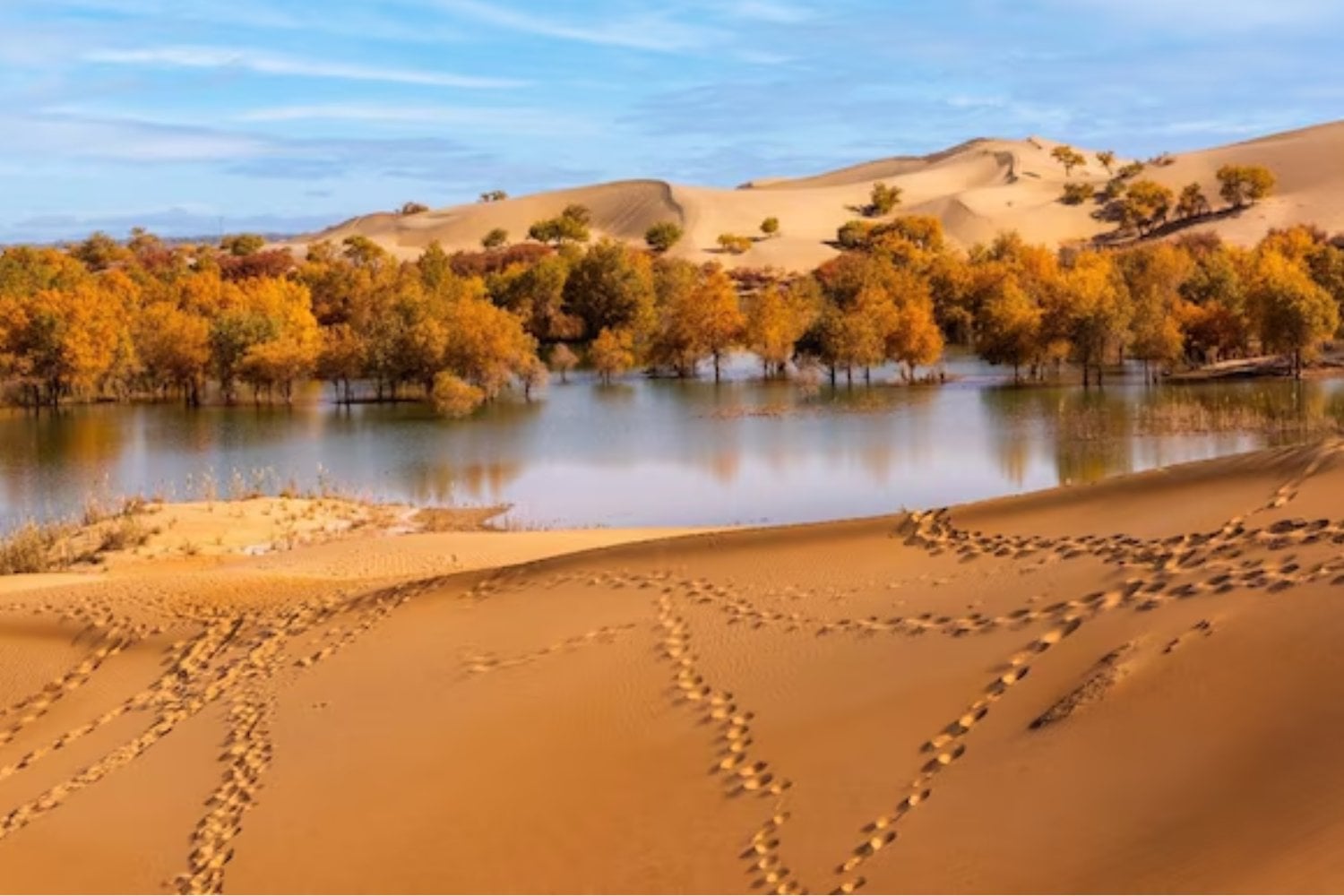China está intentando domesticar uno de los desiertos más hostiles del planeta. Y lo está haciendo con paja, sal a 540 grados y paneles solares