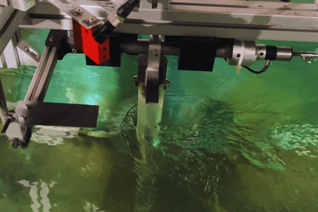 Un péndulo bajo el mar para producir energía limpia. La propuesta española que convierte el movimiento del agua en electricidad